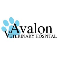 Avalon Veterinary Hospital logo, Avalon Veterinary Hospital contact details