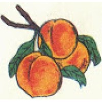 SODARO ORCHARDS logo, SODARO ORCHARDS contact details