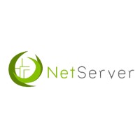 NetServer logo, NetServer contact details