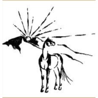 Hidden Valley Equestrian Center, Inc. logo, Hidden Valley Equestrian Center, Inc. contact details