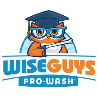 WiseGuys Pro-Wash logo, WiseGuys Pro-Wash contact details