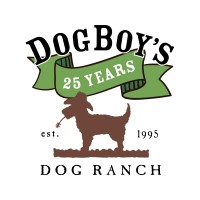 DogBoys logo, DogBoys contact details