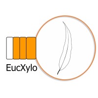 EucXylo logo, EucXylo contact details