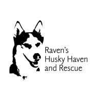 Raven's Husky Haven and Rescue logo, Raven's Husky Haven and Rescue contact details