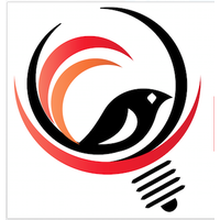 Bright Bird Consulting logo, Bright Bird Consulting contact details