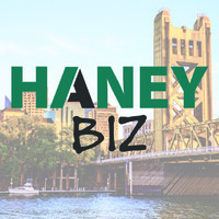 HaneyBiz logo, HaneyBiz contact details