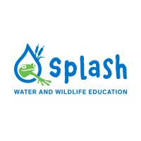 Sacramento Splash logo, Sacramento Splash contact details