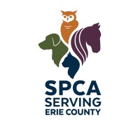 SPCA Serving Erie County, NY | Lipsey Veterinary Clinic | 300 Harlem Rd. | West Seneca, NY 14224| logo, SPCA Serving Erie County, NY | Lipsey Veterinary Clinic | 300 Harlem Rd. | West Seneca, NY 14224| contact details