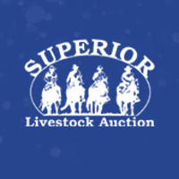 Superior Livestock logo, Superior Livestock contact details