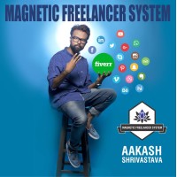 Magnetic Freelancer System logo, Magnetic Freelancer System contact details