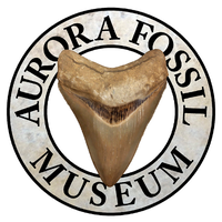 Aurora Fossil Museum logo, Aurora Fossil Museum contact details