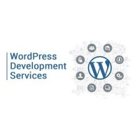 Website Developer logo, Website Developer contact details