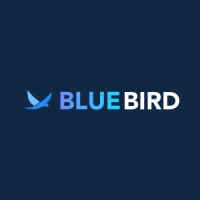 BlueBird: Account Based Marketing logo, BlueBird: Account Based Marketing contact details