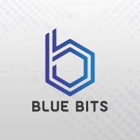 Blue Bits Team logo, Blue Bits Team contact details