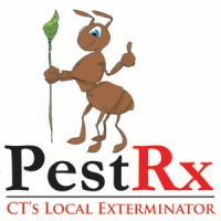 Pest Rx logo, Pest Rx contact details