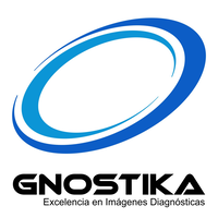 GNOSTIKA S.A.S logo, GNOSTIKA S.A.S contact details