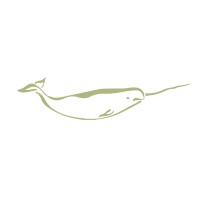 Narwhal Capital Management logo, Narwhal Capital Management contact details