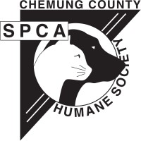 Chemung County Humane Society & SPCA logo, Chemung County Humane Society & SPCA contact details