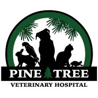 Pine Tree Veterinary Hospital logo, Pine Tree Veterinary Hospital contact details