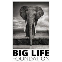 Big Life Foundation logo, Big Life Foundation contact details