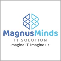 MagnusMinds IT Solution logo, MagnusMinds IT Solution contact details