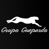 Grupo Guepardo logo, Grupo Guepardo contact details