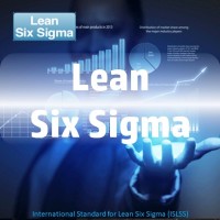 Lean Six Sigma Services logo, Lean Six Sigma Services contact details