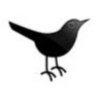 BlackBirdConnect, LLC logo, BlackBirdConnect, LLC contact details