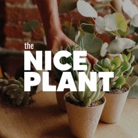 The Nice Plant logo, The Nice Plant contact details