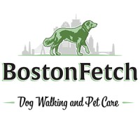 Boston Fetch logo, Boston Fetch contact details