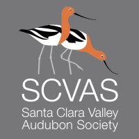 SANTA CLARA VALLEY AUDUBON SOCIETY logo, SANTA CLARA VALLEY AUDUBON SOCIETY contact details