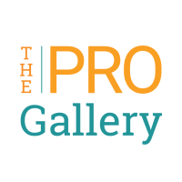 The Pro Gallery logo, The Pro Gallery contact details