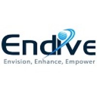 Endive Software logo, Endive Software contact details