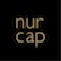 Nur Capital LLC logo, Nur Capital LLC contact details