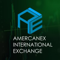 Amercanex International Exchange logo, Amercanex International Exchange contact details