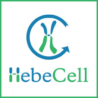 HebeCell Corp logo, HebeCell Corp contact details