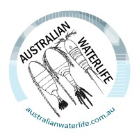 Australian Waterlife logo, Australian Waterlife contact details