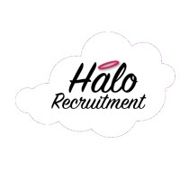 Halo Recruitment Ltd logo, Halo Recruitment Ltd contact details