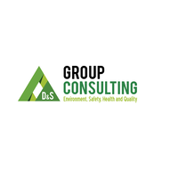 D&S Group Consulting SAC logo, D&S Group Consulting SAC contact details