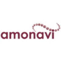 amonavi consulting group inc. logo, amonavi consulting group inc. contact details