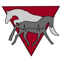 Triangle Equine Mobile Veterinary Services logo, Triangle Equine Mobile Veterinary Services contact details