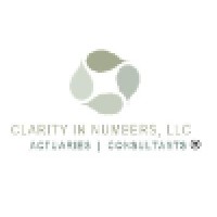 Clarity in Numbers, LLC logo, Clarity in Numbers, LLC contact details