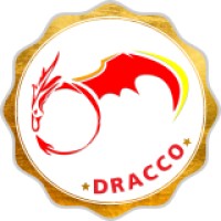 Dracco Soluções em Tecnologia e Marketing Digital logo, Dracco Soluções em Tecnologia e Marketing Digital contact details