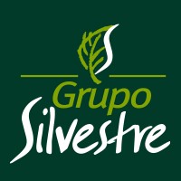 Grupo Silvestre logo, Grupo Silvestre contact details