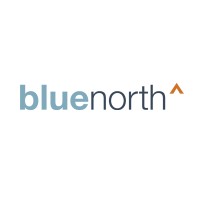 Blue North Strategies logo, Blue North Strategies contact details