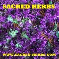 Sacred Herbs LLC logo, Sacred Herbs LLC contact details