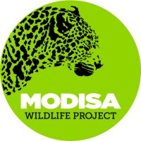 Modisa Wildlife Project logo, Modisa Wildlife Project contact details