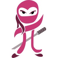 Numpy Ninja logo, Numpy Ninja contact details