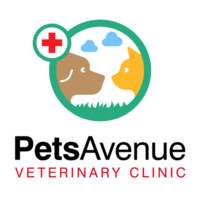 Pets Avenue Veterinary Clinic logo, Pets Avenue Veterinary Clinic contact details