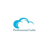 Professional Labs IT Education Pvt Ltd logo, Professional Labs IT Education Pvt Ltd contact details